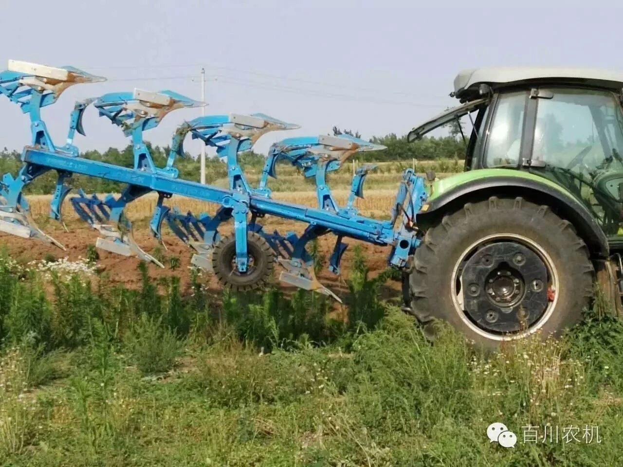 3.jpg
